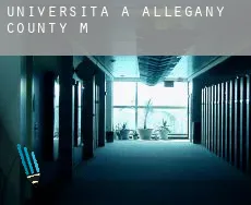 Università a  Allegany County