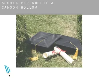 Scuola per adulti a  Cahoon Hollow