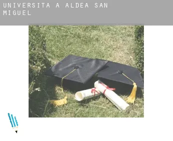 Università a  Aldea de San Miguel