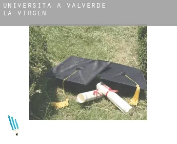 Università a  Valverde de la Virgen