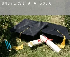 Università a  Goiás