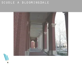 Scuole a  Bloomingdale