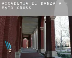 Accademia di danza a Mato Grosso