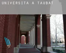 Università a  Taubaté