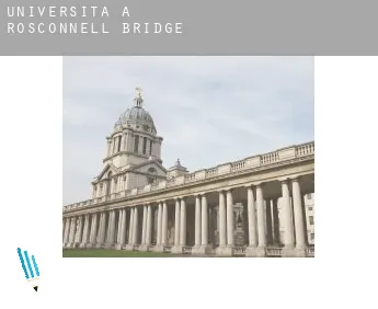 Università a  Rosconnell Bridge