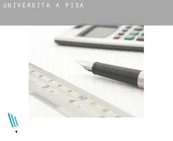 Università a  Pisa