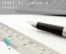 Corsi di lingua a Caucaia