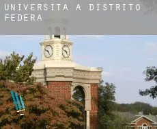 Università a  Distretto Federale