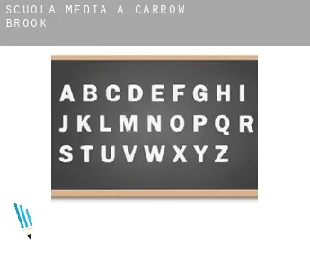 Scuola media a  Carrow Brook