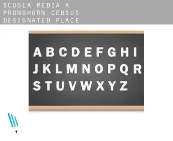 Scuola media a  Pronghorn