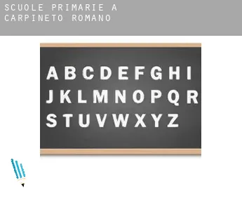 Scuole primarie a  Carpineto Romano