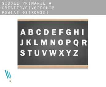 Scuole primarie a  Powiat ostrowski (Greater Poland Voivodeship)