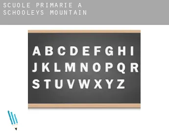Scuole primarie a  Schooleys Mountain