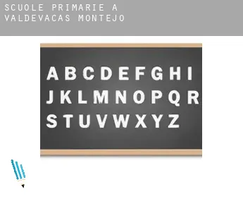 Scuole primarie a  Valdevacas de Montejo