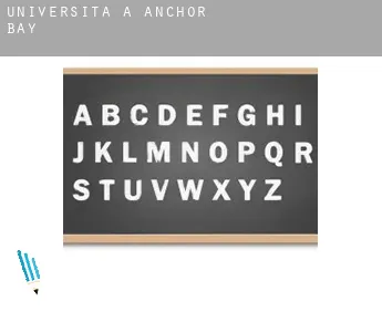 Università a  Anchor Bay