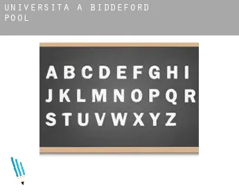 Università a  Biddeford Pool