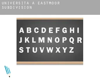 Università a  Eastmoor Subdivision