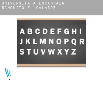 Università a  Encantada-Ranchito-El Calaboz