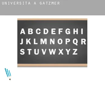 Università a  Gatzmer