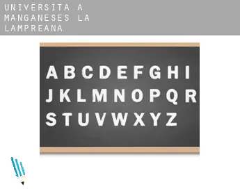 Università a  Manganeses de la Lampreana