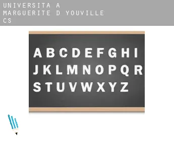 Università a Marguerite-D'Youville (census area)