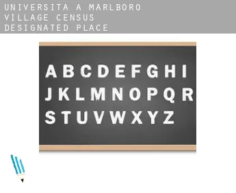 Università a  Marlboro Village