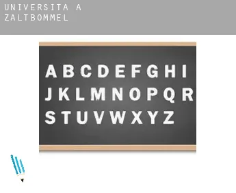 Università a  Zaltbommel