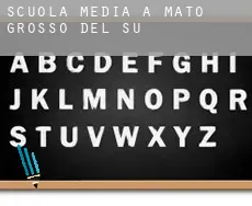 Scuola media a Mato Grosso do Sul