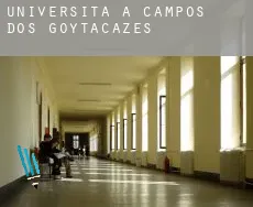 Università a  Campos dos Goytacazes