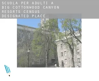 Scuola per adulti a  Big Cottonwood Canyon Resorts