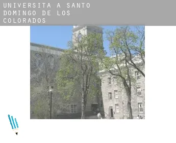 Università a  Santo Domingo de los Colorados
