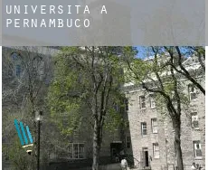 Università a  Stato di Pernambuco