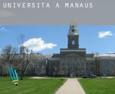 Università a  Manaus
