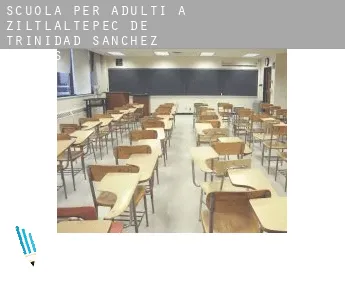 Scuola per adulti a  Ziltlaltepec de Trinidad Sanchez Santos