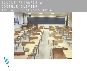 Scuole primarie a  Docteur-Olivier-Trépanier (census area)