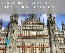 Corsi di lingua a Campos dos Goytacazes