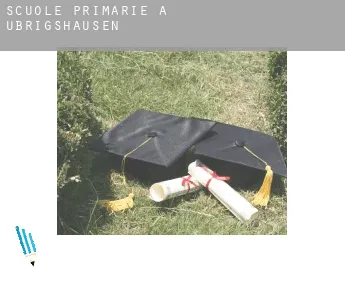 Scuole primarie a  Übrigshausen