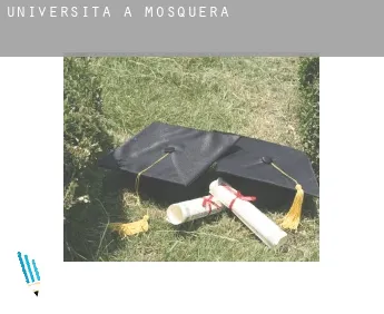 Università a  Mosquera