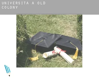 Università a  Old Colony