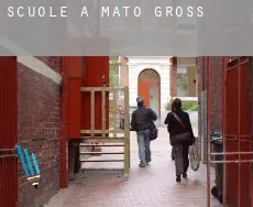 Scuole a Mato Grosso