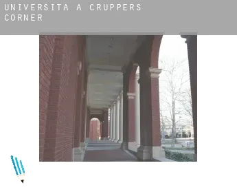 Università a  Cruppers Corner