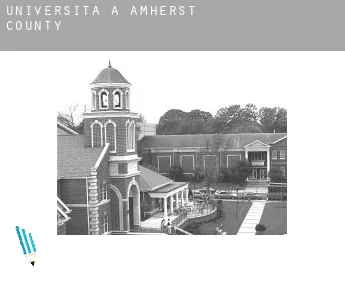Università a  Amherst County