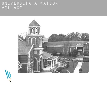 Università a  Watson Village