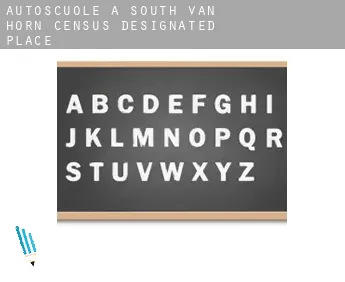 Autoscuole a  South Van Horn