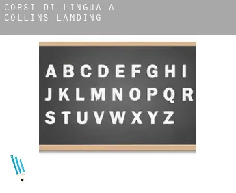 Corsi di lingua a  Collins Landing