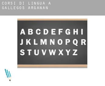 Corsi di lingua a  Gallegos de Argañán