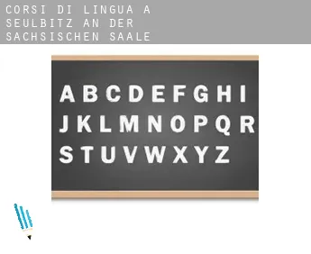 Corsi di lingua a  Seulbitz an der Sächsischen Saale