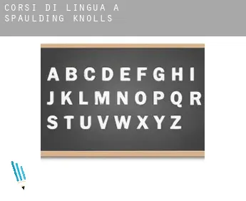 Corsi di lingua a  Spaulding Knolls