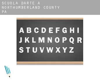 Scuola d'arte a  Northumberland County