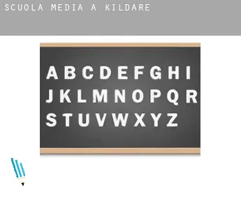 Scuola media a  Kildare